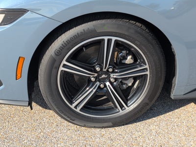 2025 Ford Mustang EcoBoost Fastback